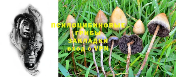 дживик Магадан