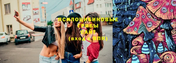 дживик Магадан