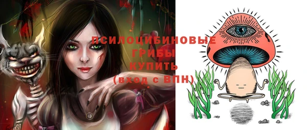 дживик Магадан