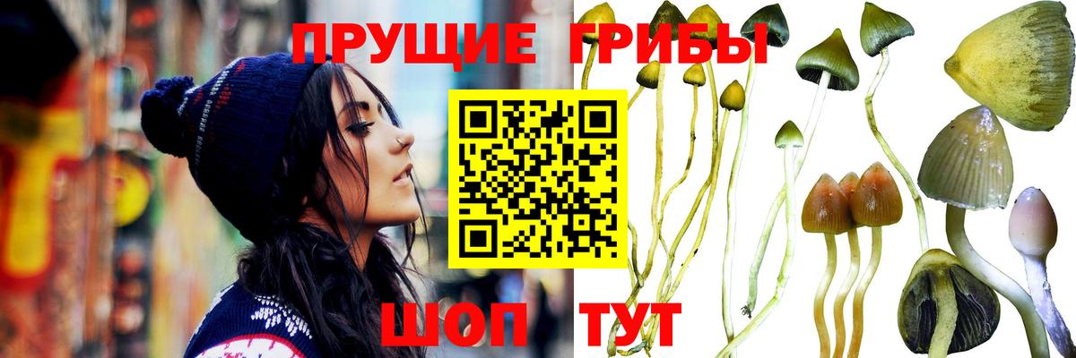 Галлюциногенные грибы MAGIC MUSHROOMS Сорочинск